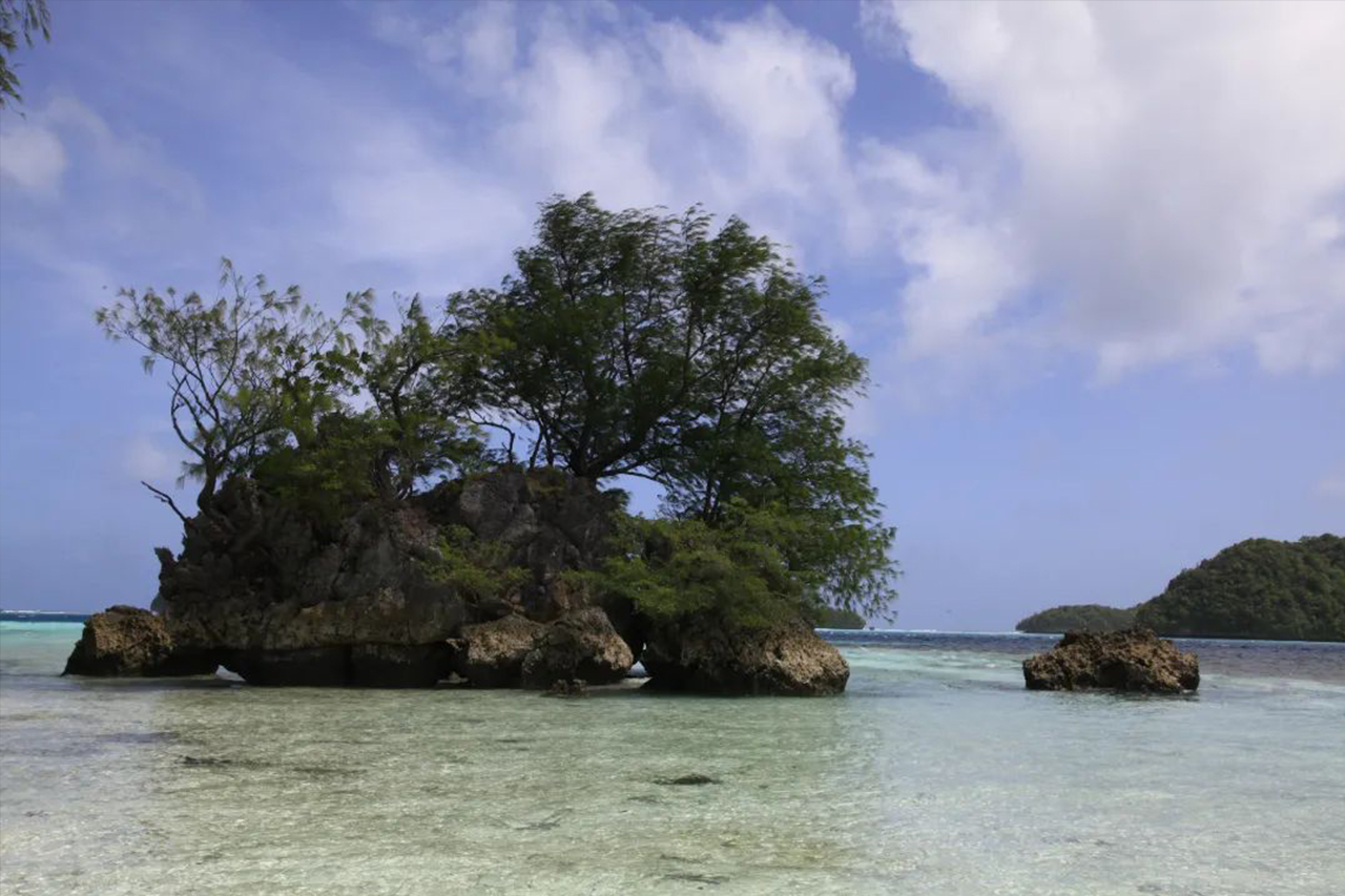 1710211274629973.jpg 4.海上盆景.jpg